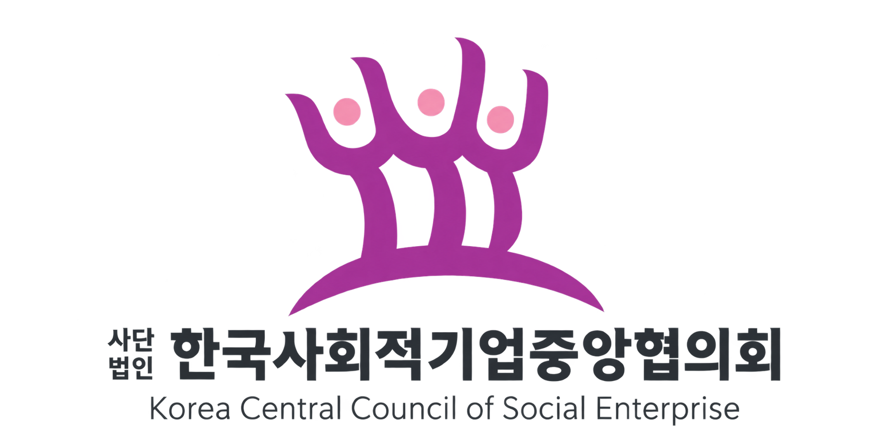 한국사회적기업중앙협의회